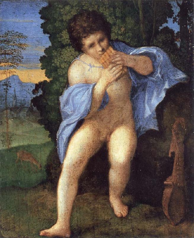 Palma Vecchio Young Faunus Playing the Syrinx oil painting image